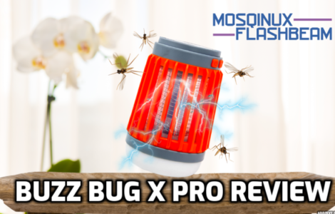 Buzz Bug X Pro Review